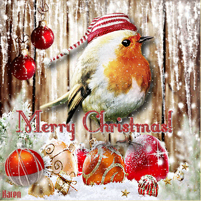 Christmas Birdy Pictures, Photos, and Images for Facebook, Tumblr