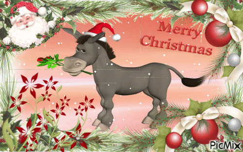 Donkey Merry Christmas Gif Pictures, Photos, and Images for Facebook