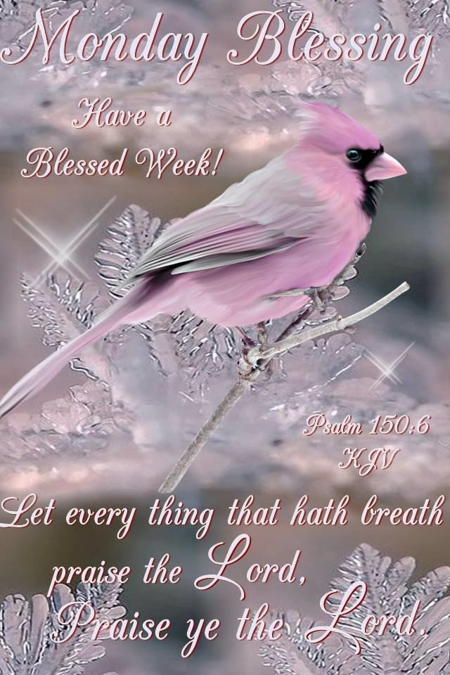 Let Everything That Hath Breath, Praise The Lord - Monday Blessing