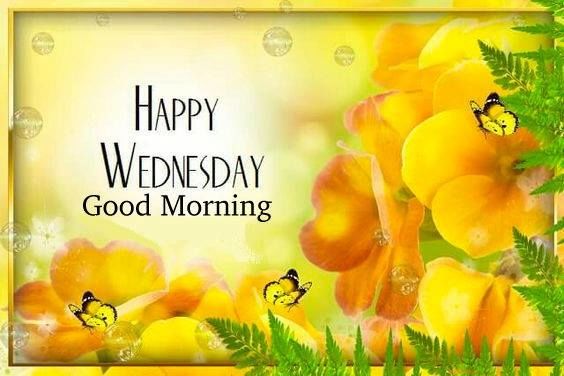 Yellow Butterflies & Flowers Happy Wednesday, Good Morning Pictures