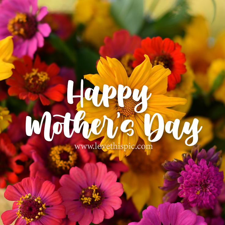 Colorful Daisies Happy Mother's Day Pictures, Photos, and Images for