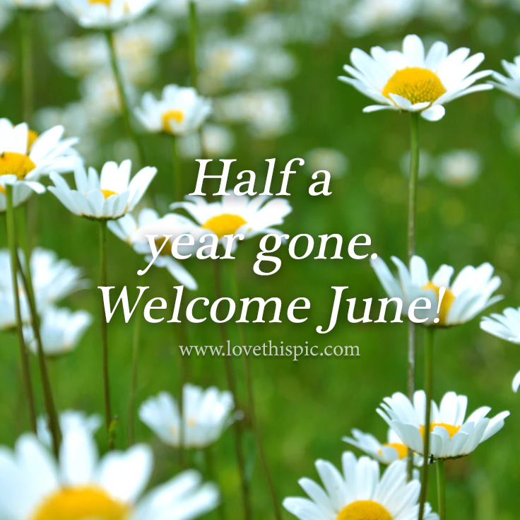 Half A Year Gone. June! Pictures, Photos, and Images for
