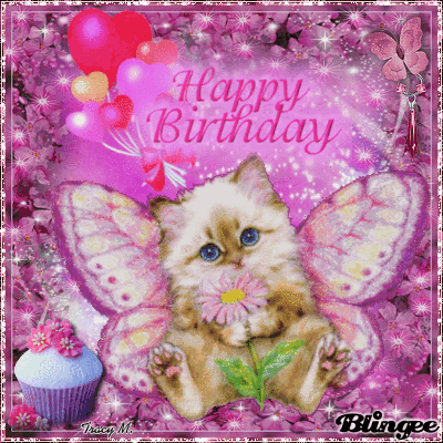 Butterfly Cat Happy Birthday Gif Pictures, Photos, and Images for