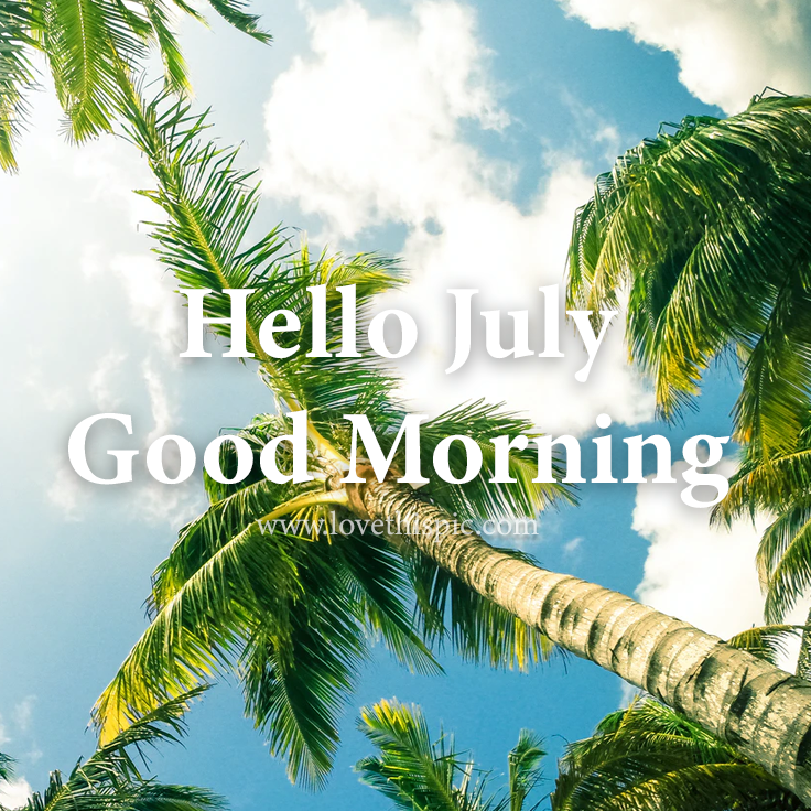 Coconut Palm Trees - Hello July Good Morning Pictures, Photos, and