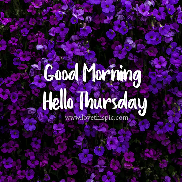 Purple Flower Good Morning Hello Thursday Pictures, Photos, and