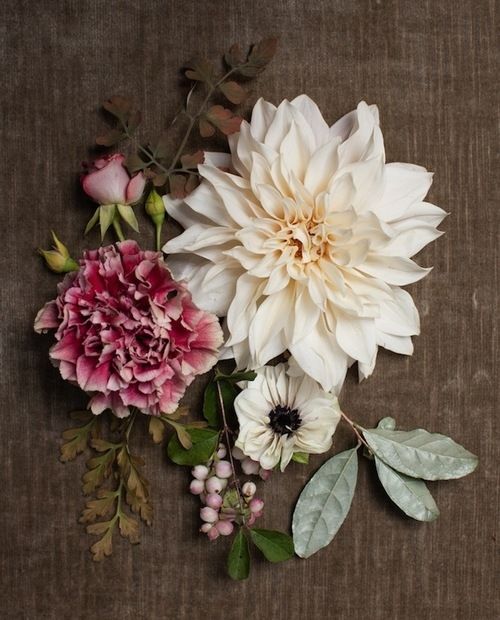 Pretty flowers Pretty flowers