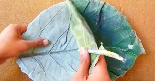 This Beautiful Cement Leaf Craft Is So Easy To Make, And It Serves Many
