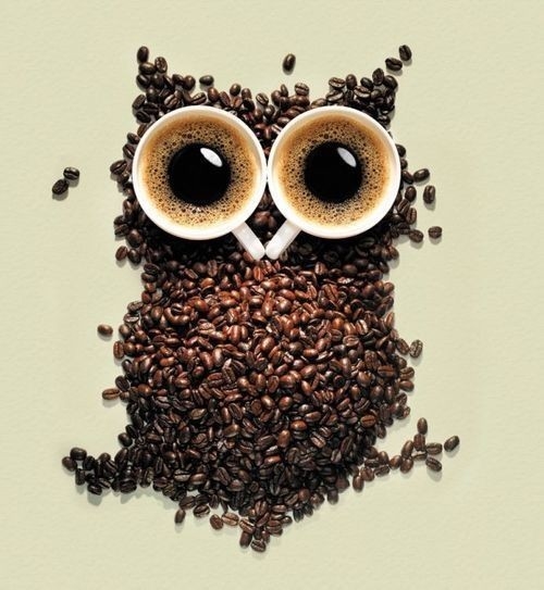 Owl coffee Owl coffee