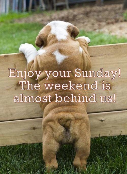 Enjoy You Sunday Enjoy You Sunday