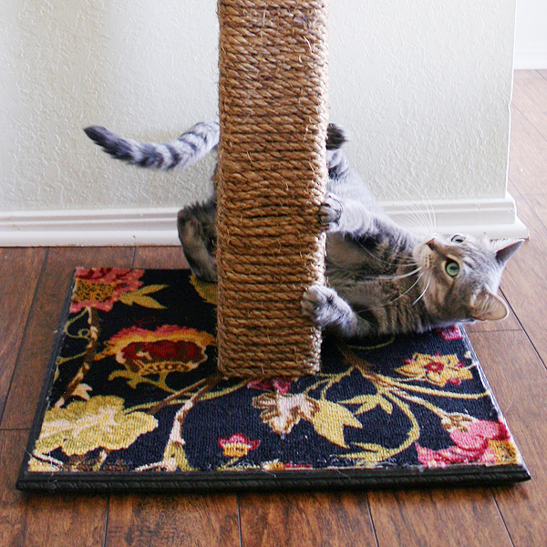 DIY Scratching Post DIY Scratching Post