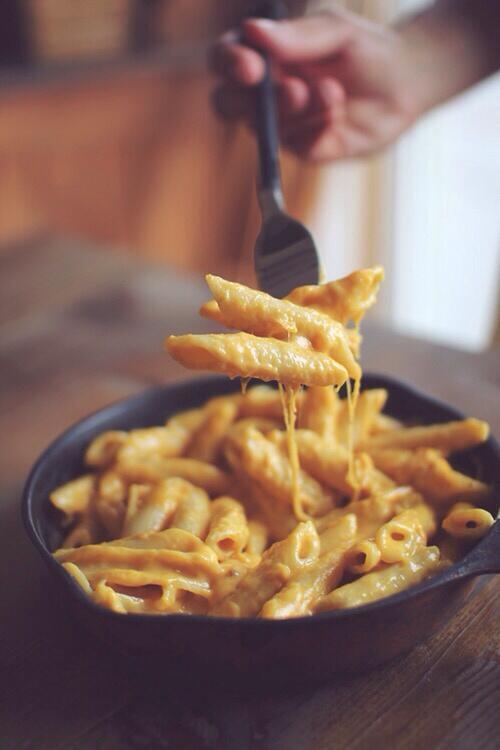 Cheese and pasta Cheese and pasta