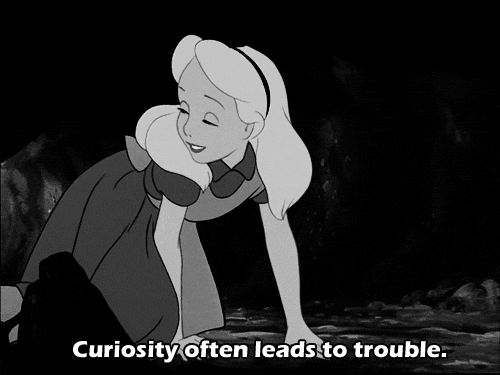 Curiousity