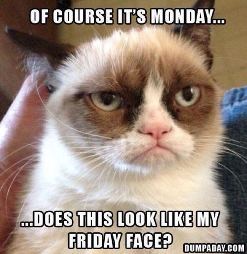 Does this look like my friday face? Does this look like my friday face?