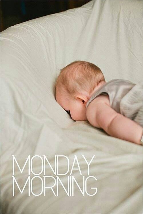 Monday morning Monday morning