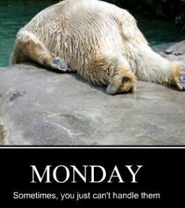 Monday, sometimes you just cant handle them Monday, sometimes you just cant handle them