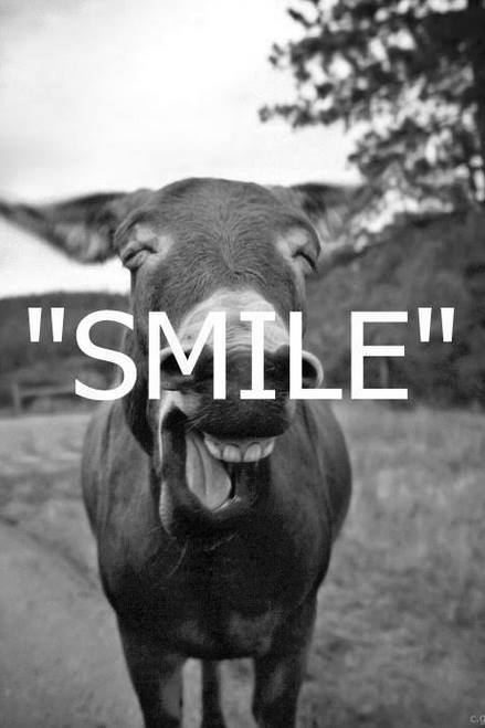Smile Smile