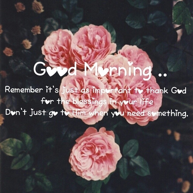 Good Morning Good Morning