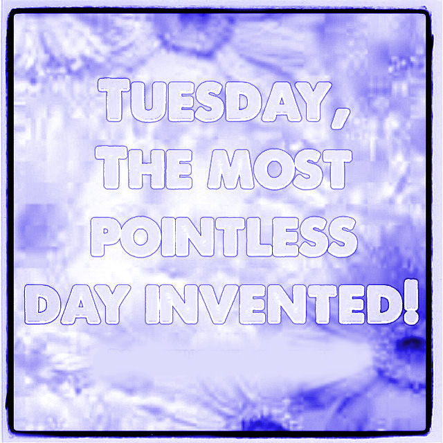 Tuesday Tuesday