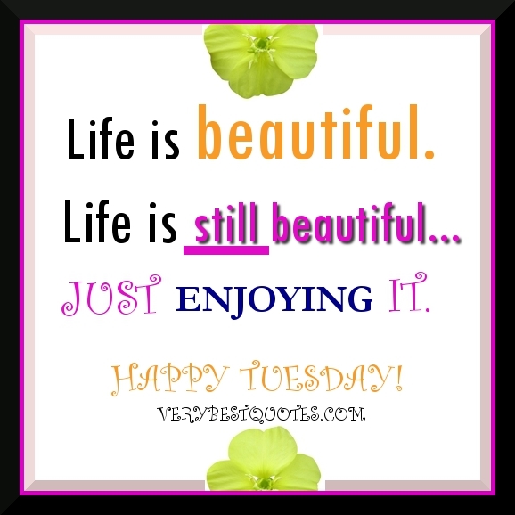 Happy tuesday Happy tuesday