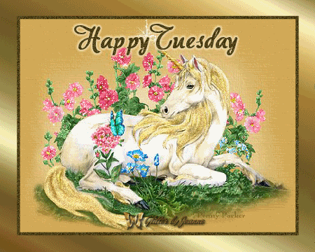 Happy tuesday Happy tuesday