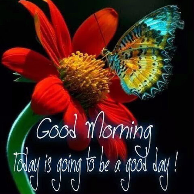 Good Morning Good Morning