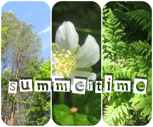 Summertime