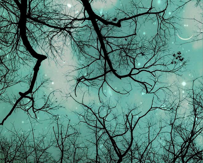 Stars at night