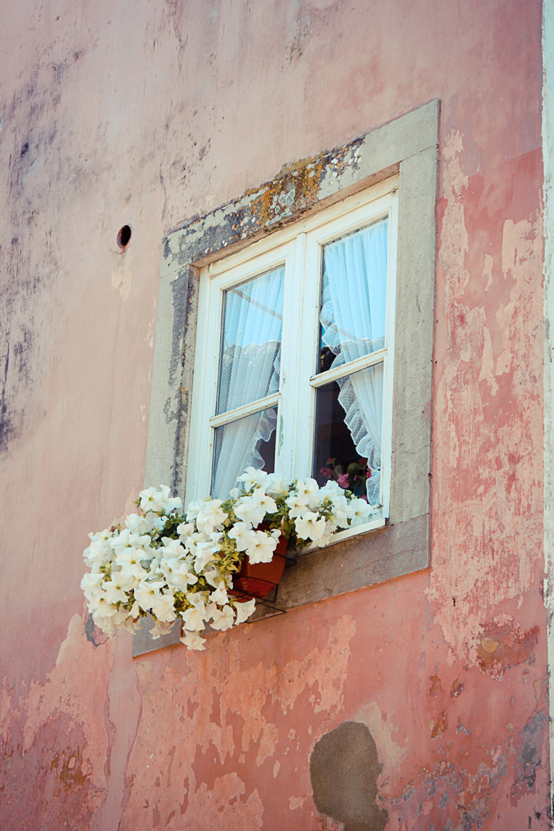 Pink window Pink window