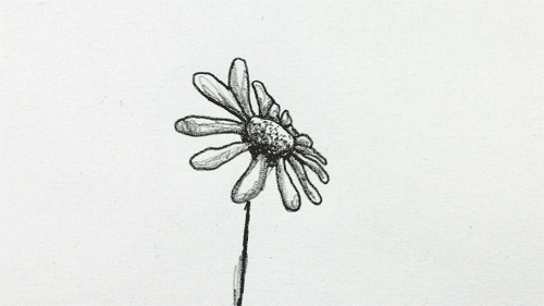 flower in the wind flower in the wind