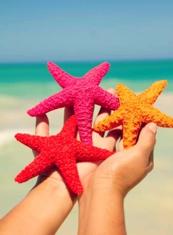 Starfishes