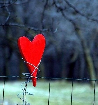 Love Love