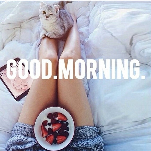 Good Morning Good Morning