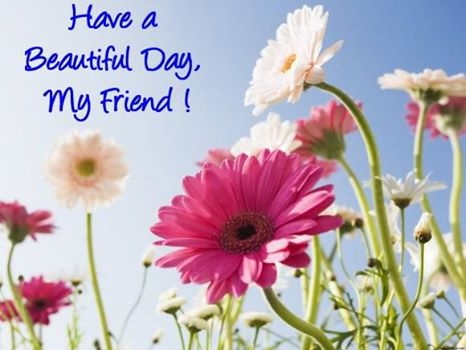 Have a Beautiful Day Have a Beautiful Day