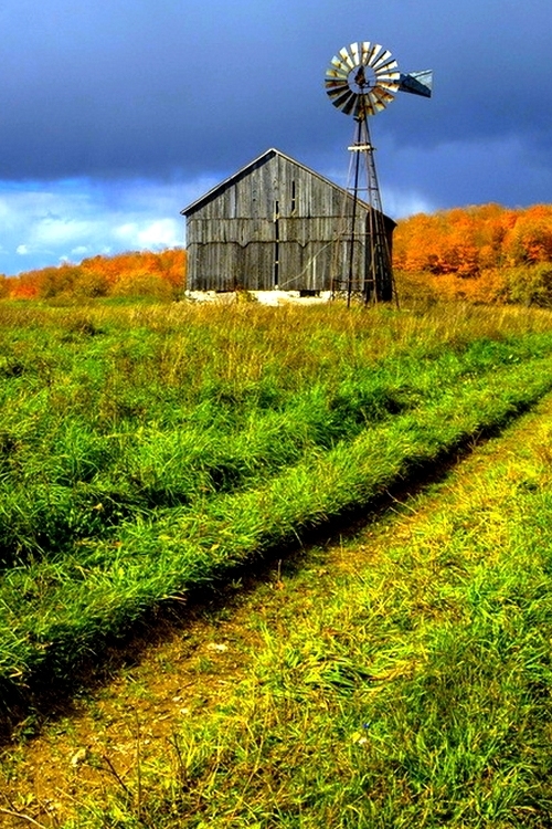 Little country barn