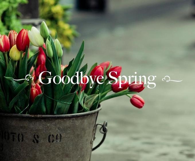 Goodbye Spring Goodbye Spring