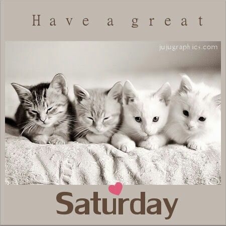 Have a great Saturday Have a great Saturday