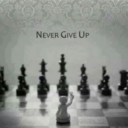 Never give up