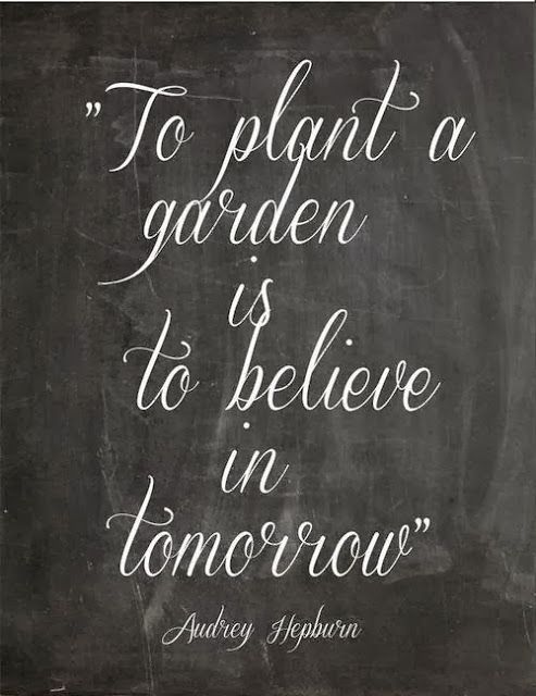 to plant a garden
