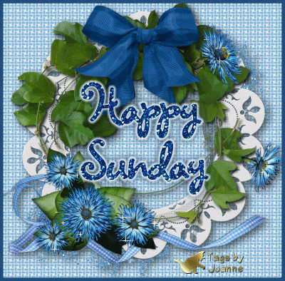 Happy Sunday Happy Sunday