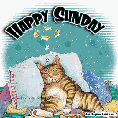 Happy Sunday Happy Sunday