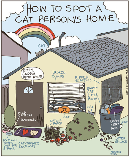 How to spot a cat person's home