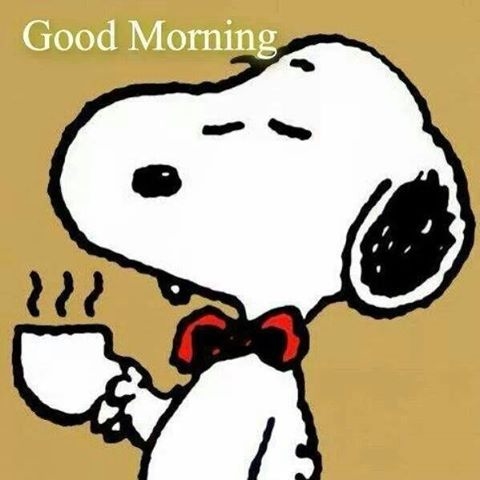 Good Morning Good Morning