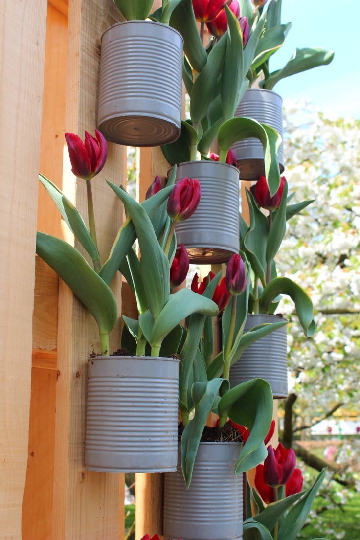 Tin Can Garden Tin Can Garden