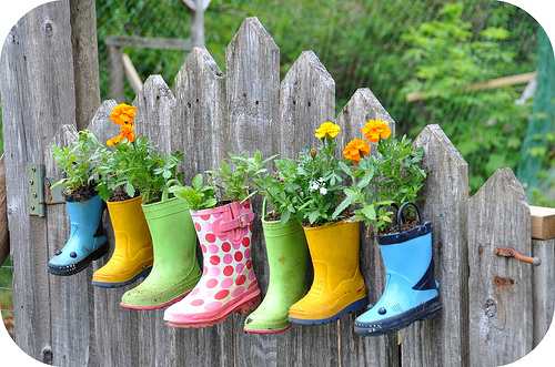 Garden Boots