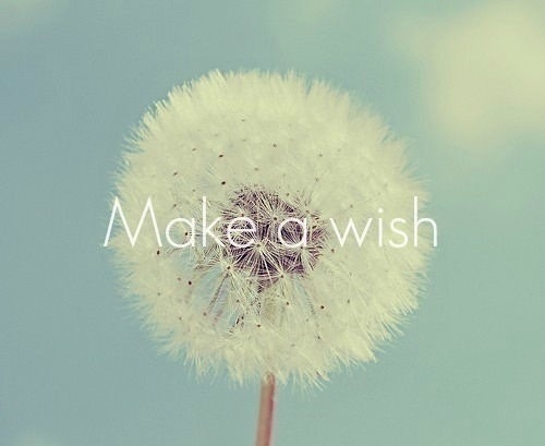 Make a wish Make a wish