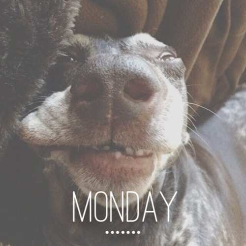 Monday Monday