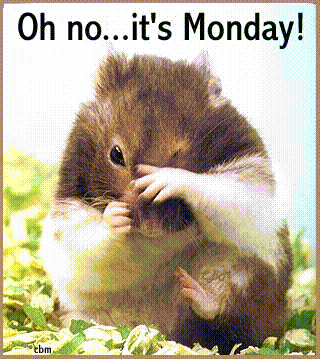 Oh no its monday Oh no its monday