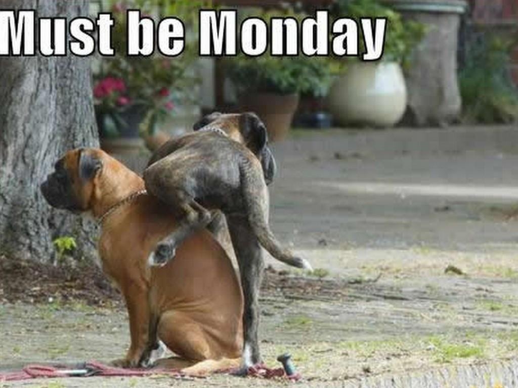 Must be monday Must be monday