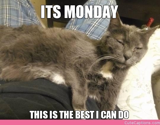 Its Monday, this is the best I can do Its Monday, this is the best I can do