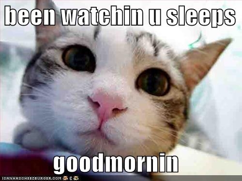 Been watchin u sleeps, good mornin